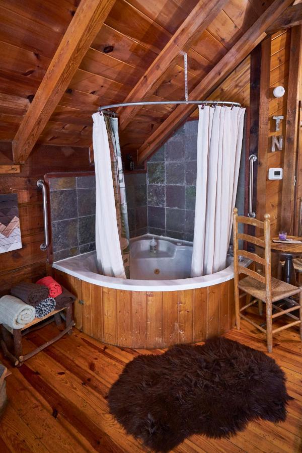 Gatlinburg Area Hottub Cabin - Ladyslipper セバービル エクステリア 写真
