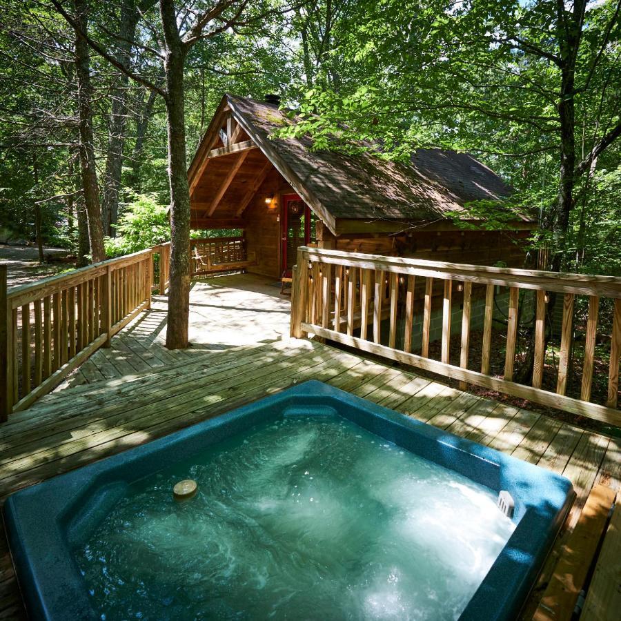 Gatlinburg Area Hottub Cabin - Ladyslipper セバービル エクステリア 写真