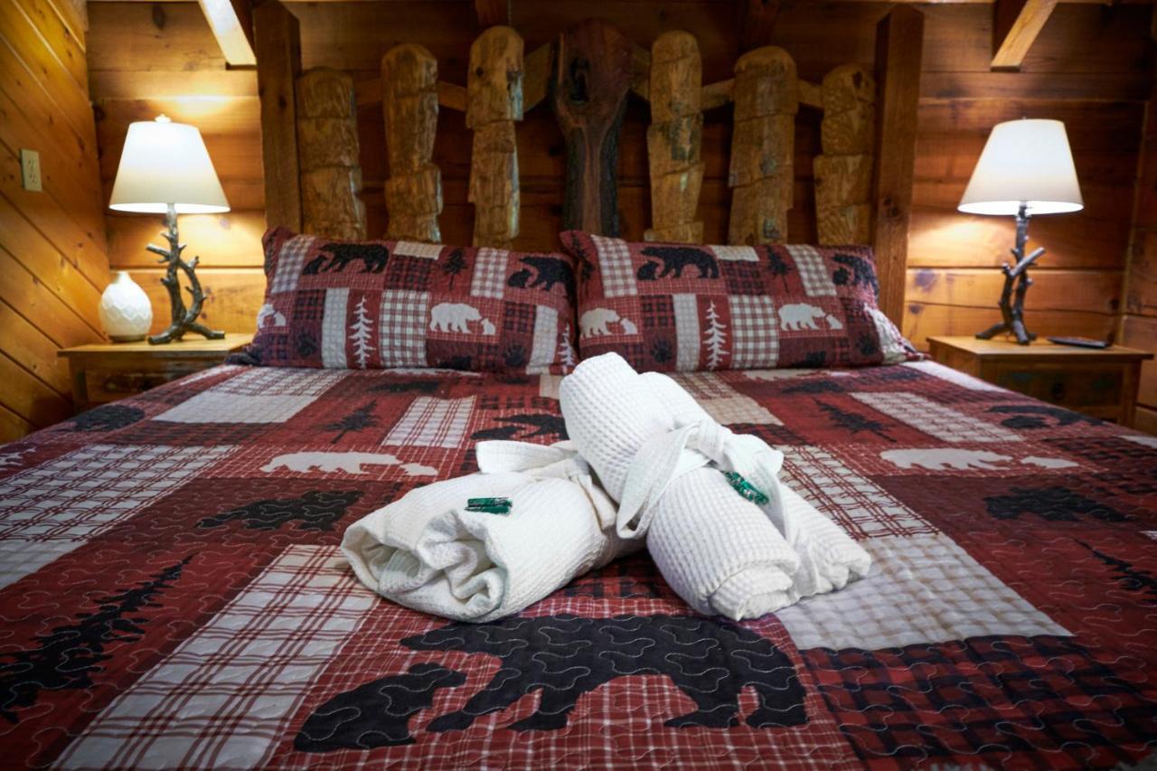 Gatlinburg Area Hottub Cabin - Ladyslipper セバービル エクステリア 写真