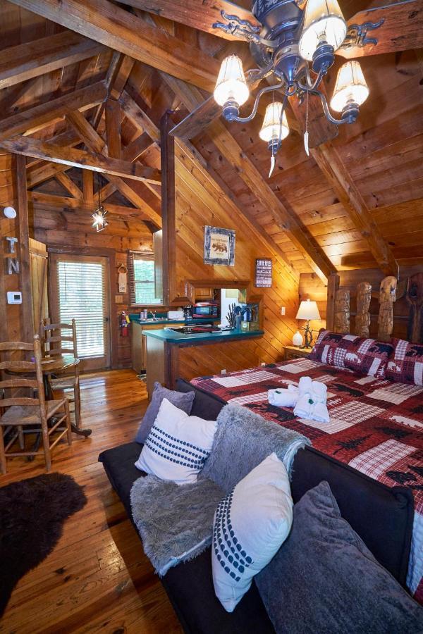 Gatlinburg Area Hottub Cabin - Ladyslipper セバービル エクステリア 写真