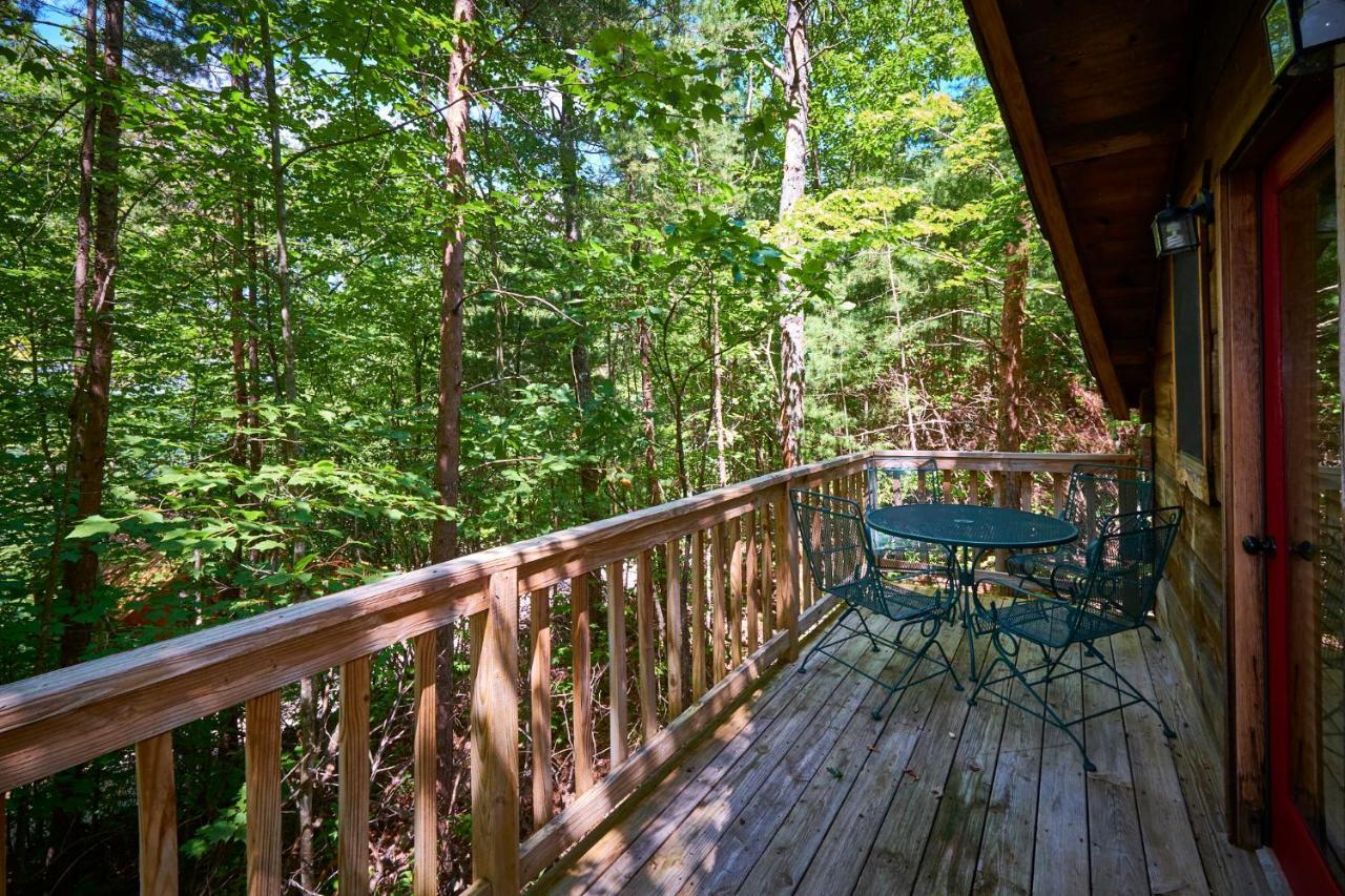 Gatlinburg Area Hottub Cabin - Ladyslipper セバービル エクステリア 写真
