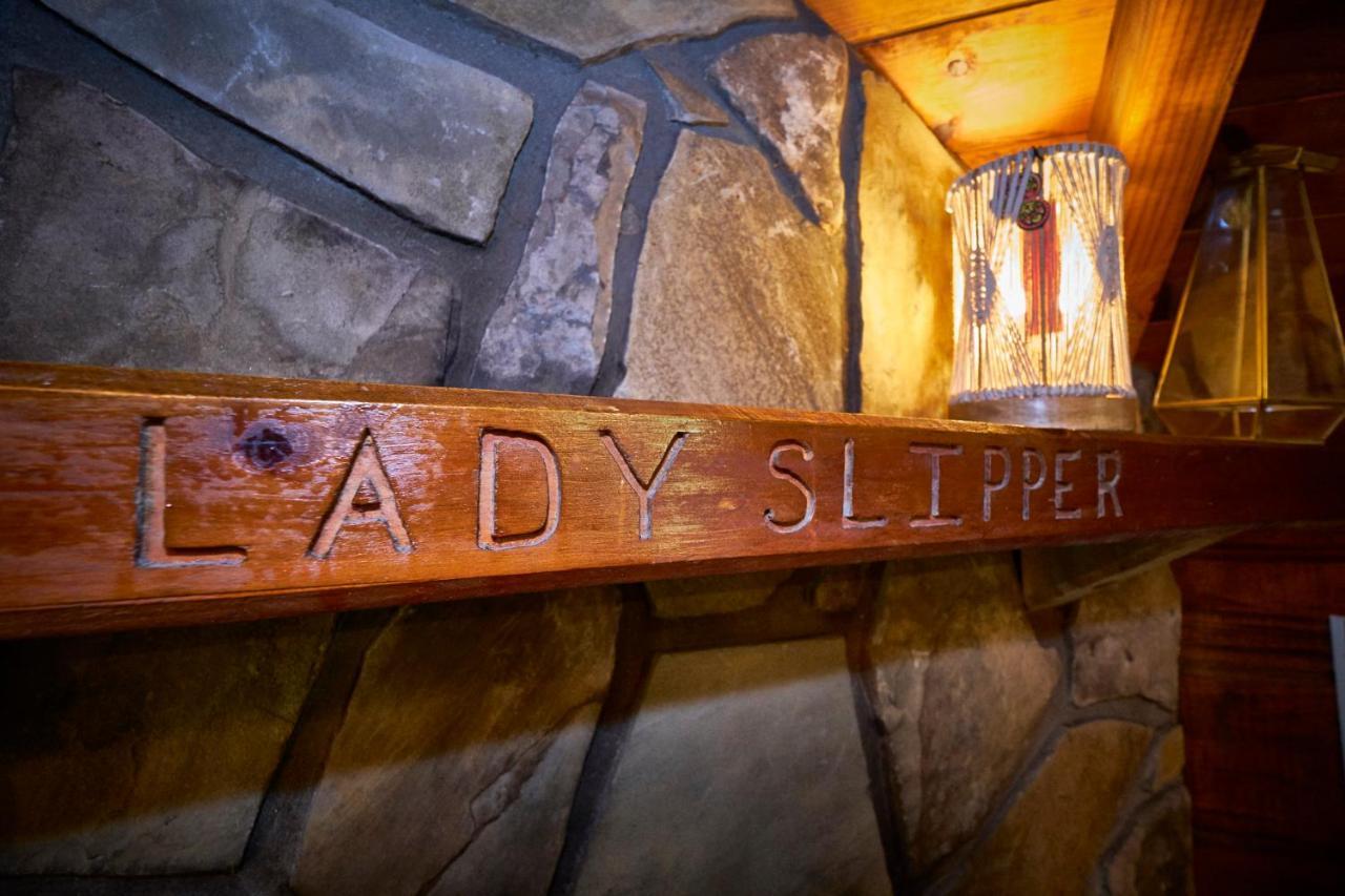 Gatlinburg Area Hottub Cabin - Ladyslipper セバービル エクステリア 写真